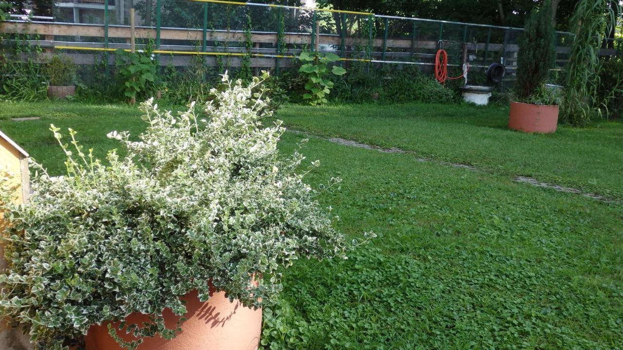 Hotel Sud Alsace Ranspach-le-Bas Luaran gambar